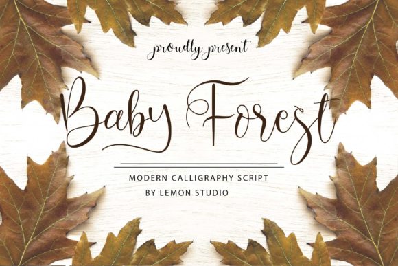 Baby Forest: A Delicate Typeface for a Polished Brand Identity