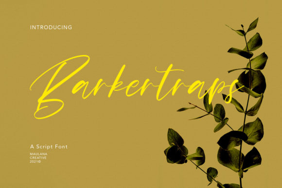 Barkertraps: A Stylish Script Font for Modern Web Design