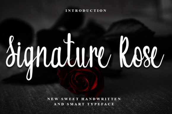 Signature Rose: A Script Font with Personality